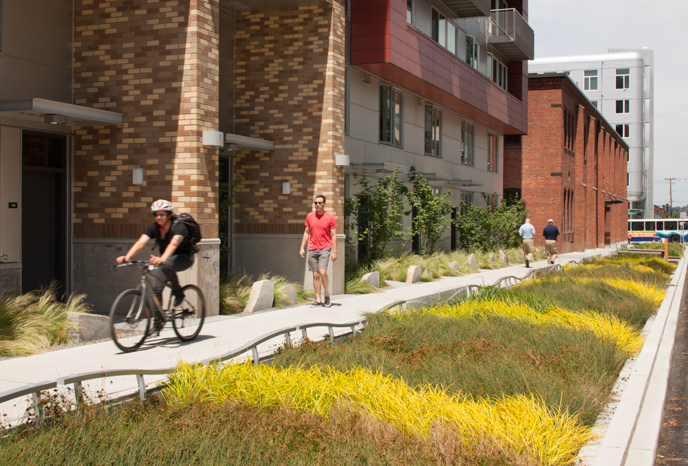 Rain garden, cosa sono - come si utilizzano e come ci salveranno dalle bombe d'acqua
